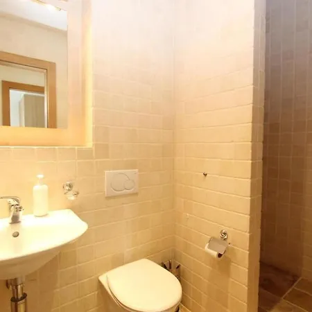Great View Spacious 3 Bedroom Flat With Pool And Gym Daire Chateau-d'Oex
